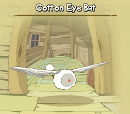 Cotton Eye Bat